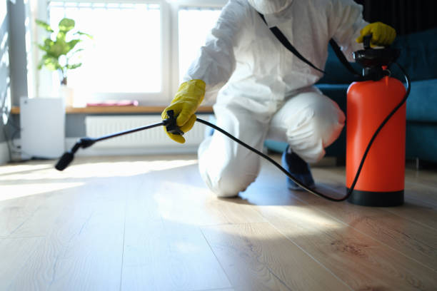 Professional Pest Control in Kokomo, IN