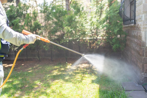 Reliable Kokomo, IN Pest Control Solutions