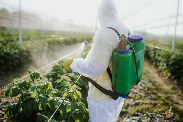 Best Pest Control Cost  in Kokomo, IN